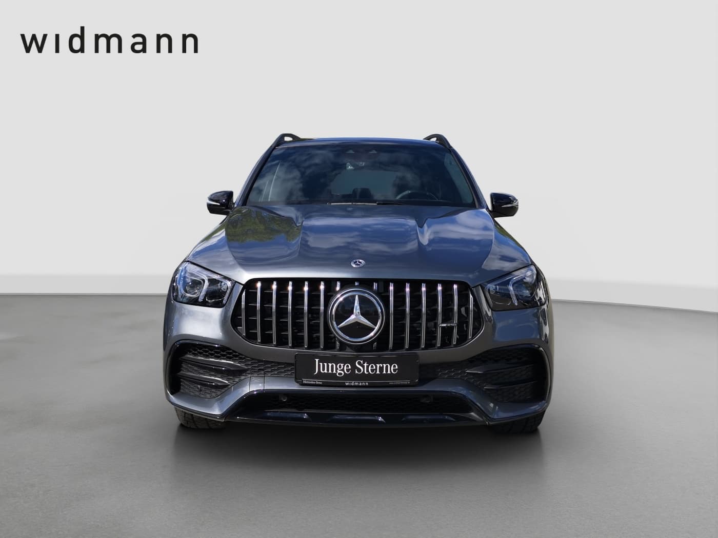 Mercedes-Benz GLE 53 AMG 4M+ Bild 2
