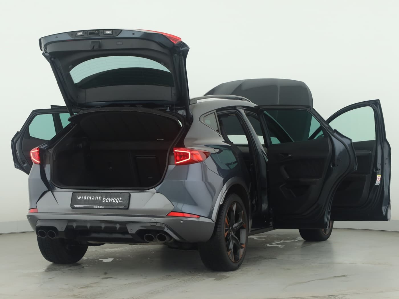 Cupra Formentor VZ 2.0 TSI 4Drive Bild 9