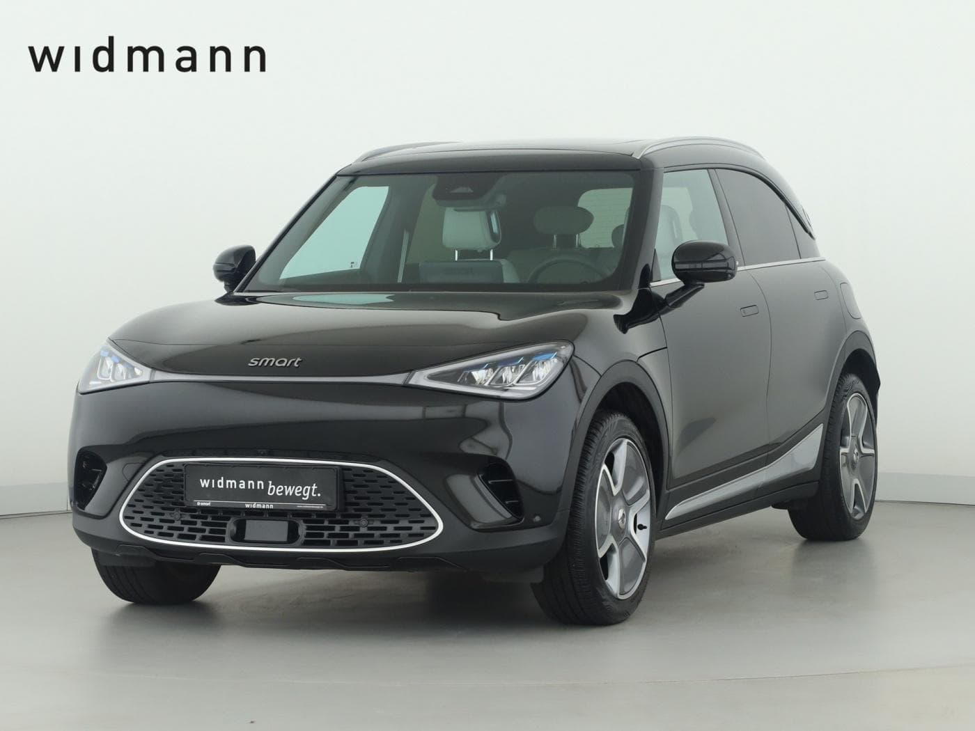 Smart 1 Pro+ (66kWh)