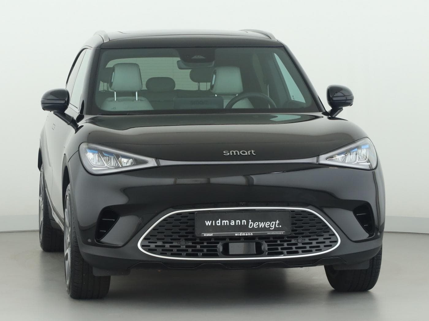 Smart 1 Pro+ (66kWh) Bild 3