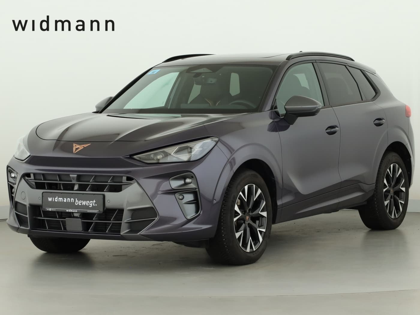 Cupra Terramar 1.5 eTSI