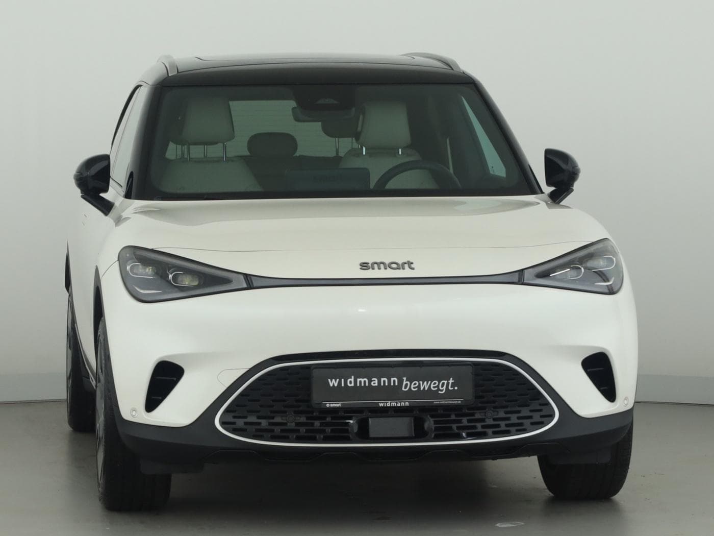 Smart 1 Premium (66kWh) Bild 3