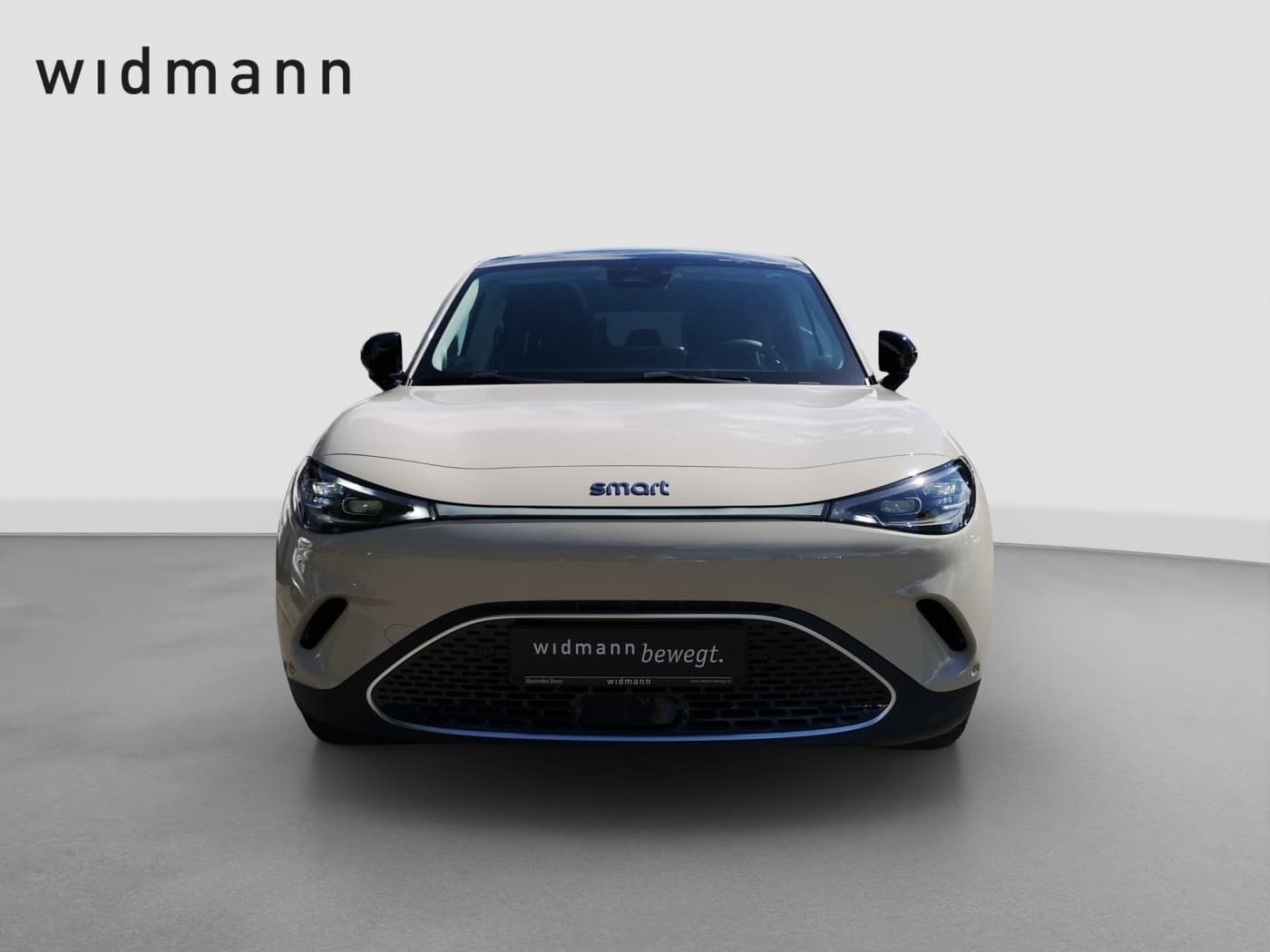 Smart 3 Premium (66kWh) Bild 2