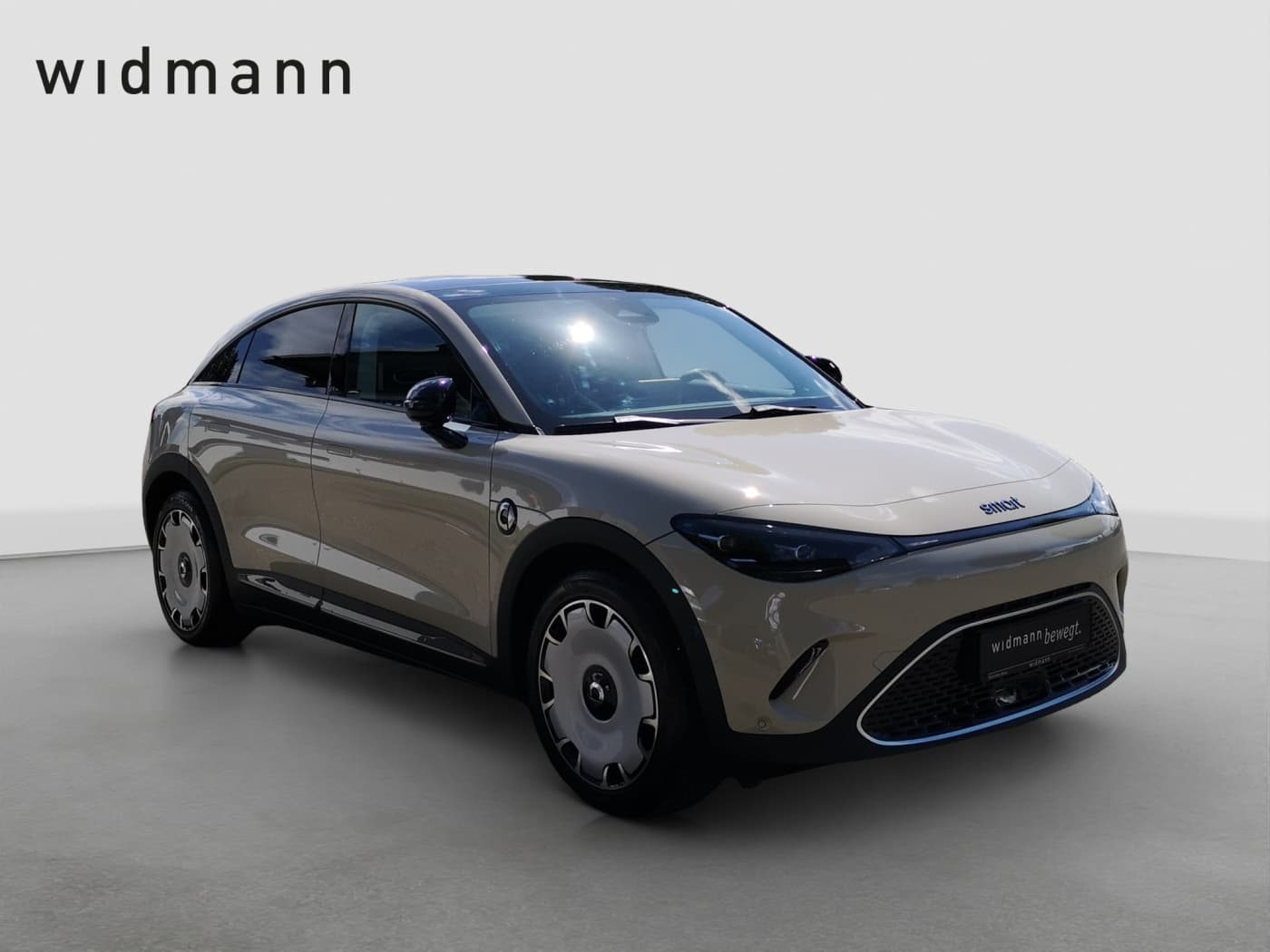 Smart 3 Premium (66kWh) Bild 7